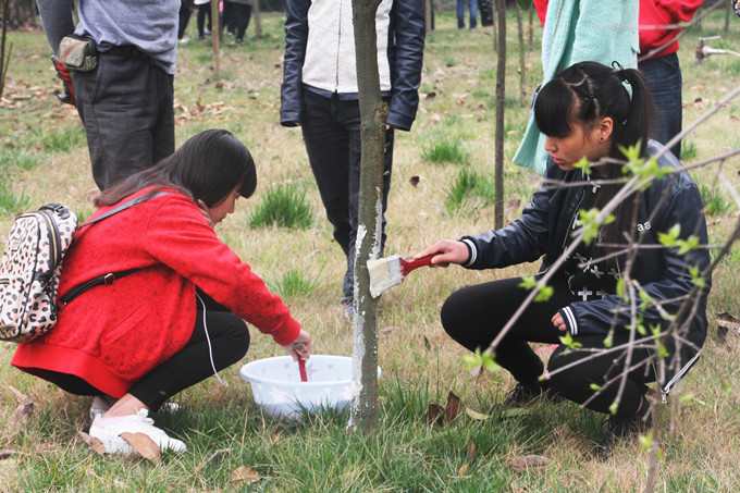 植樹節(jié)：讓愛與綠色傳遞